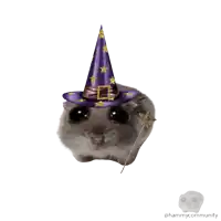 a hamster wearing a purple witch hat with gold stars and a wand
