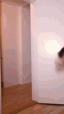 a person standing in a hallway with a door open