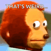 a picture of a monkey with the words that 's weird