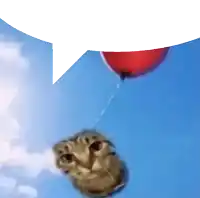 a cat is flying in the air with a red balloon