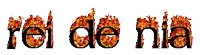 the word rei de nia is surrounded by flames