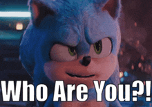 a close up of sonic the hedgehog with the words who are you written below him