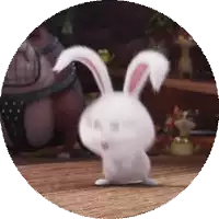 a white bunny rabbit is standing on its hind legs in a circle