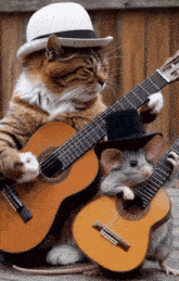 a cat in a top hat is playing a guitar next to a mouse