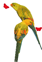 a couple of birds are sitting next to each other with a red butterfly in the background