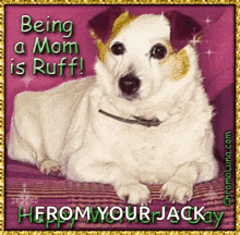 a picture of a dog with the words " being a mom is ruff "