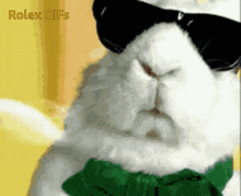 a white cat wearing sunglasses and a green bow tie with the words rolex gifs above it