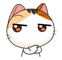 a calico cat with a serious look on his face