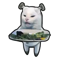a white cat with shrek ears holds a plate of salad