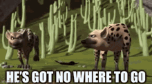 a couple of hyenas standing next to each other in a field .