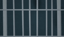 a cell phone with a cartoon face behind bars
