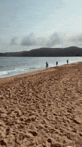 a group of people are standing on a sandy beach near the ocean .