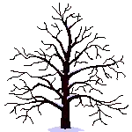 a tree with lots of green leaves and brown flowers on a white background