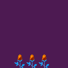a purple background with arabic writing and three orange flowers