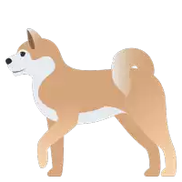 an illustration of a brown and white dog with a white background