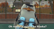 an animated penguin says " oh really could it be alaska " in front of a fence