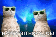 two cats wearing sunglasses are standing next to each other on a blue background and saying happy birthday joe .