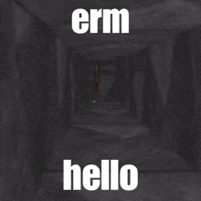 a horse standing in a dark tunnel with the words " erm hello " below it