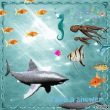 a picture of a shark octopus fish and seahorse with the words take a shower on the bottom