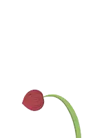 a drawing of a red flower with a green stem