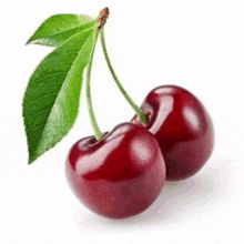 a pair of cherries with green leaves on a white background .