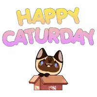 a cat in a box with the words happy saturday written above it