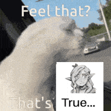 a picture of a cat with the words feel that that 's true on it