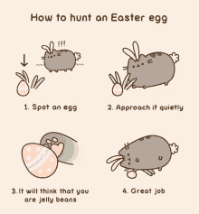 how to hunt an easter egg with a cat and a bunny