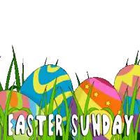 colorful easter eggs in the grass with the words easter sunday in white letters