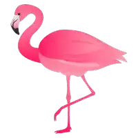 a pink flamingo with a black beak is standing on a white background
