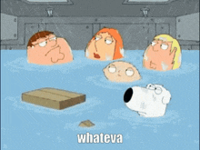 a group of cartoon characters are swimming in a pool of water with the word whateva written on the bottom .