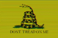 a yellow background with a snake and the words " dont tread on me " on it