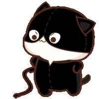 a black and white cat is wearing a black mask