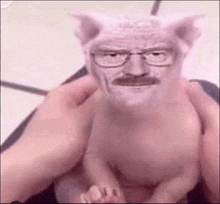 a person is holding a pig with glasses and a mustache on its face .